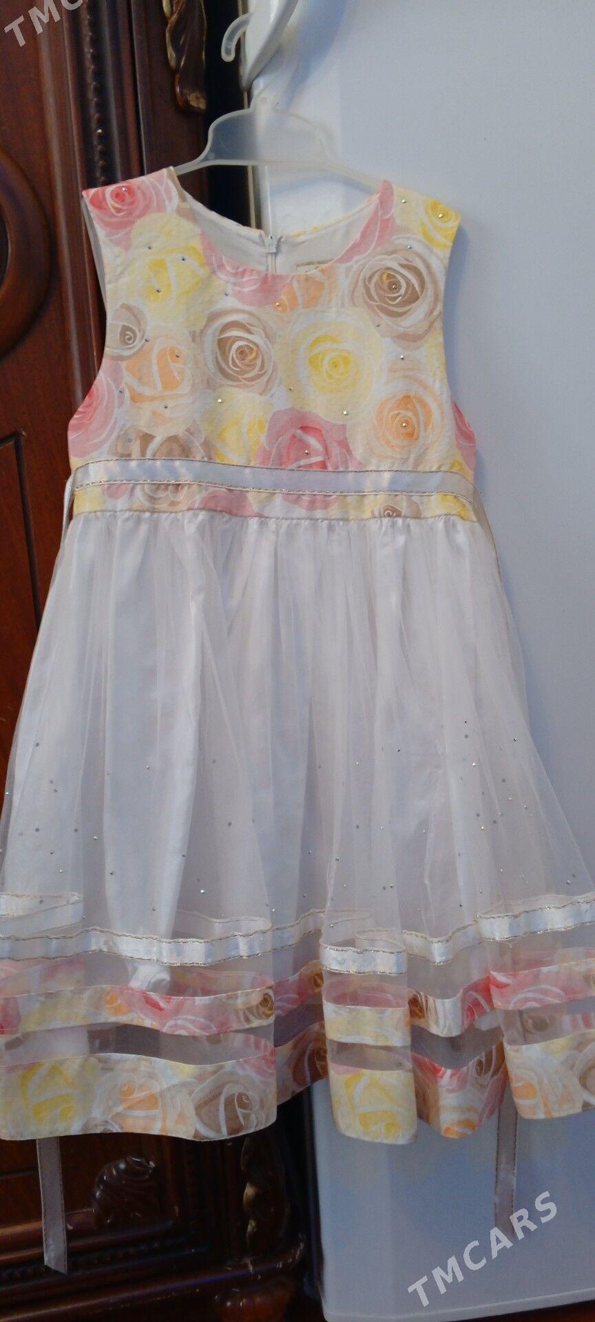 pomah keteni - Gurtly - img 4