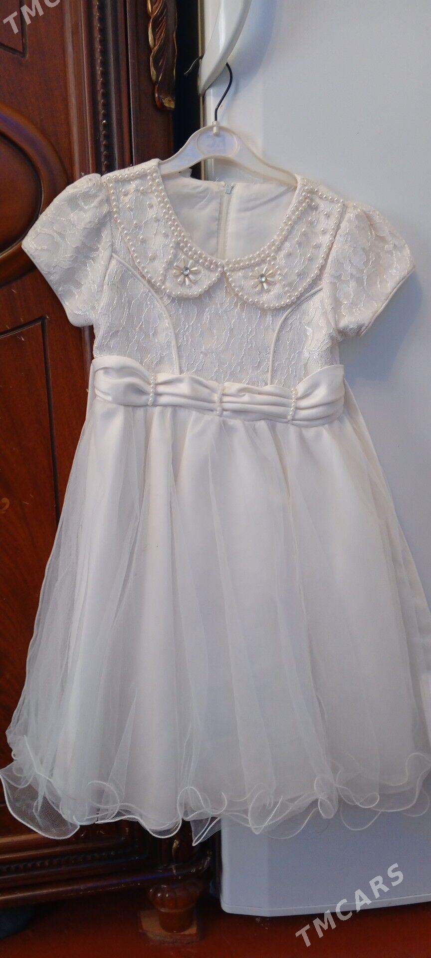 pomah keteni - Gurtly - img 3