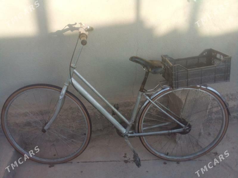 Welesepit - Теджен - img 3