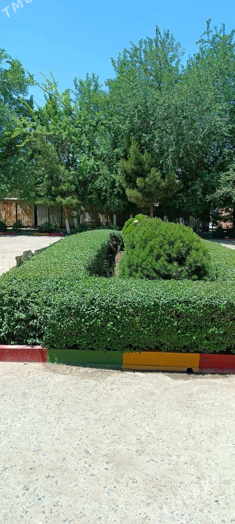 arenda tualet banya - Mary - img 2