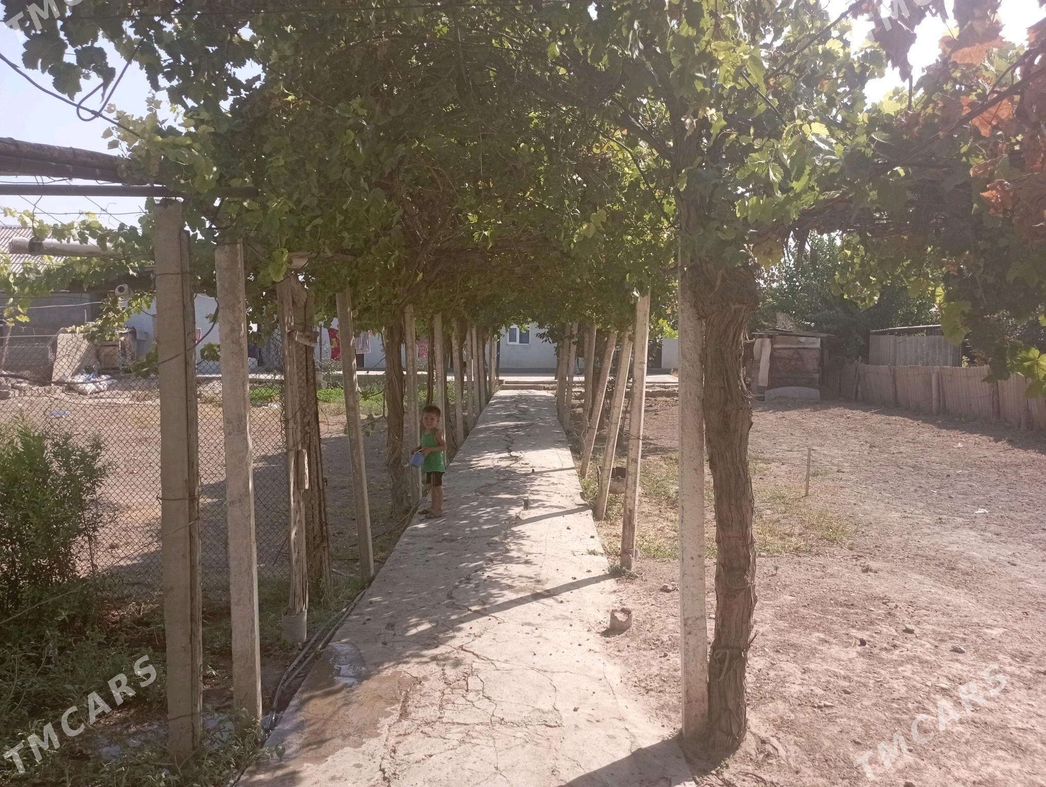 jay - Бузмеин - img 4