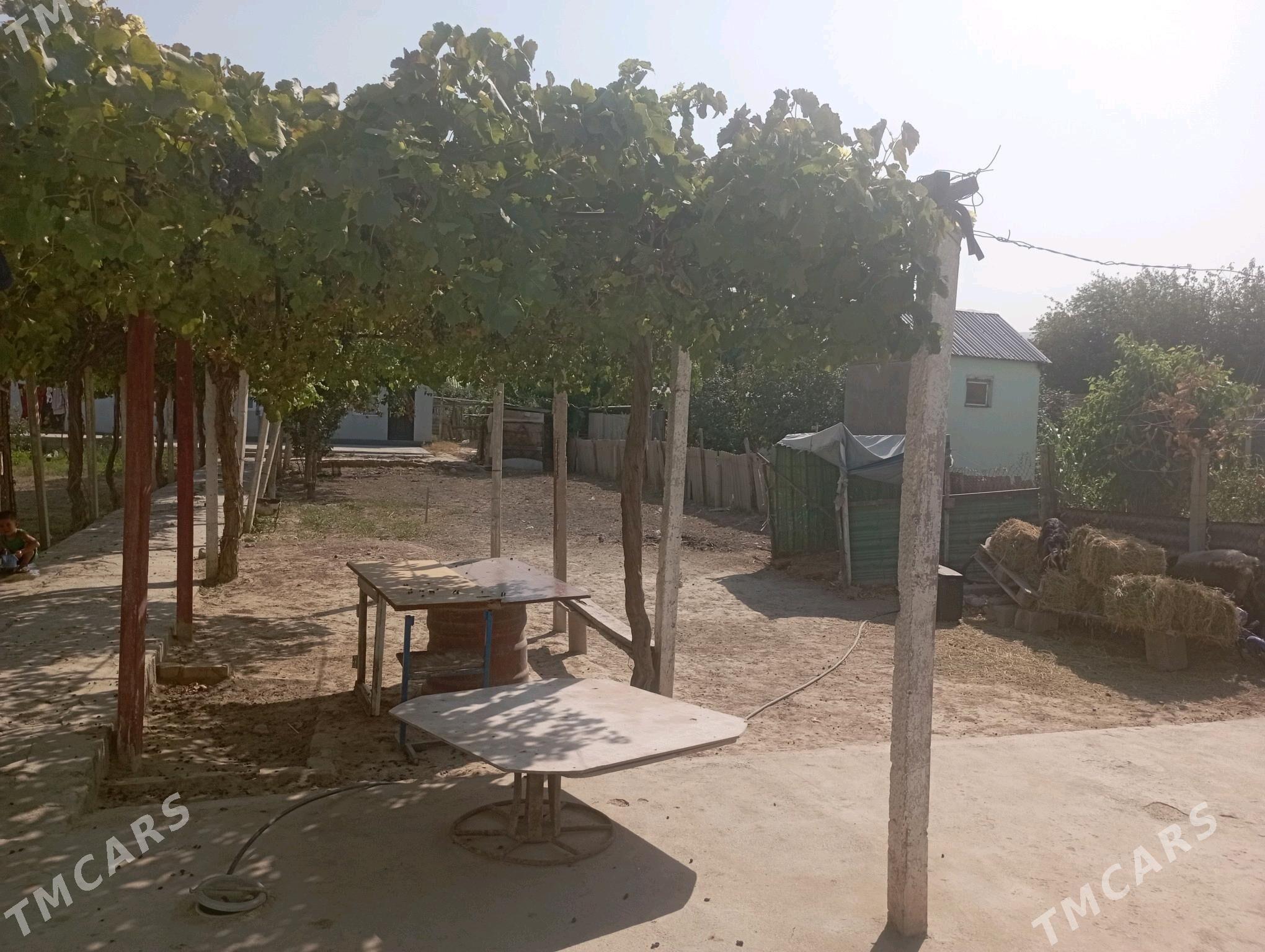 jay - Бузмеин - img 5