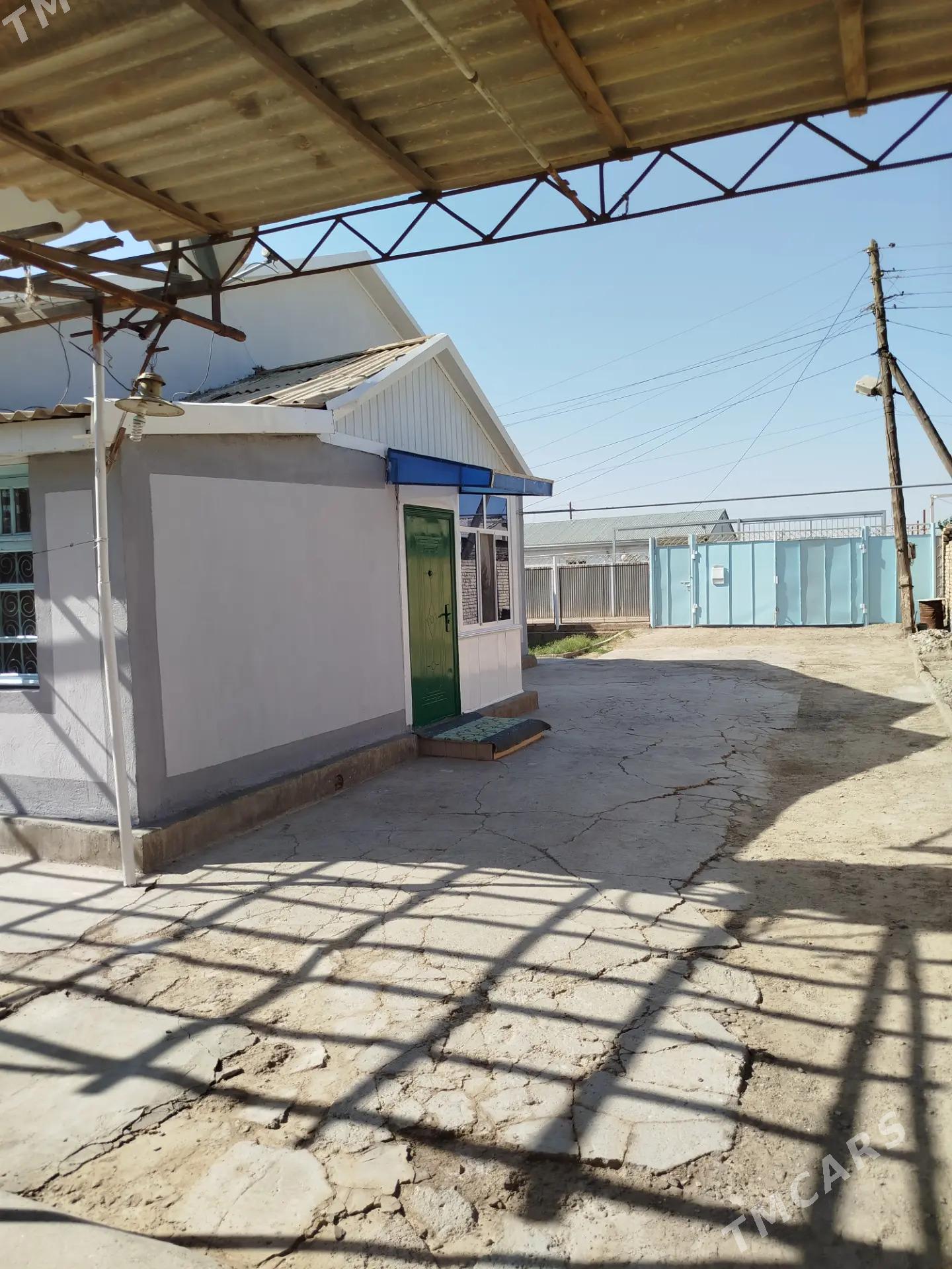 Satlyk Howly jay - Мары - img 2