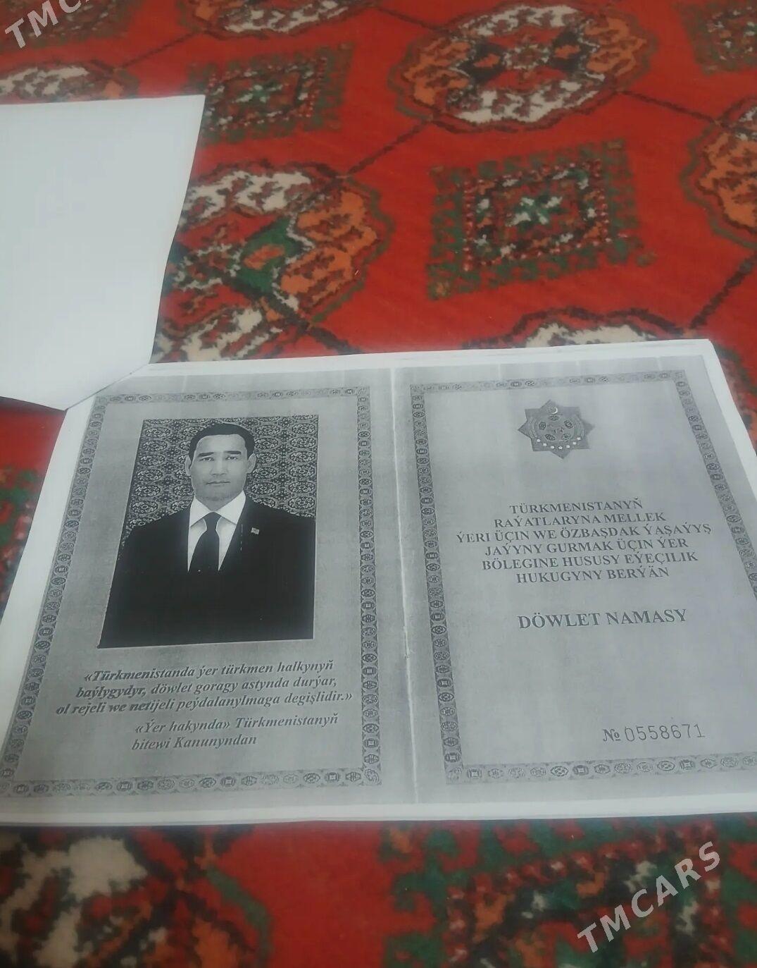 (2655)-ÇOGANLY 12-SOTOK A WE B ETMELI RAHMAN - Çoganly - img 6