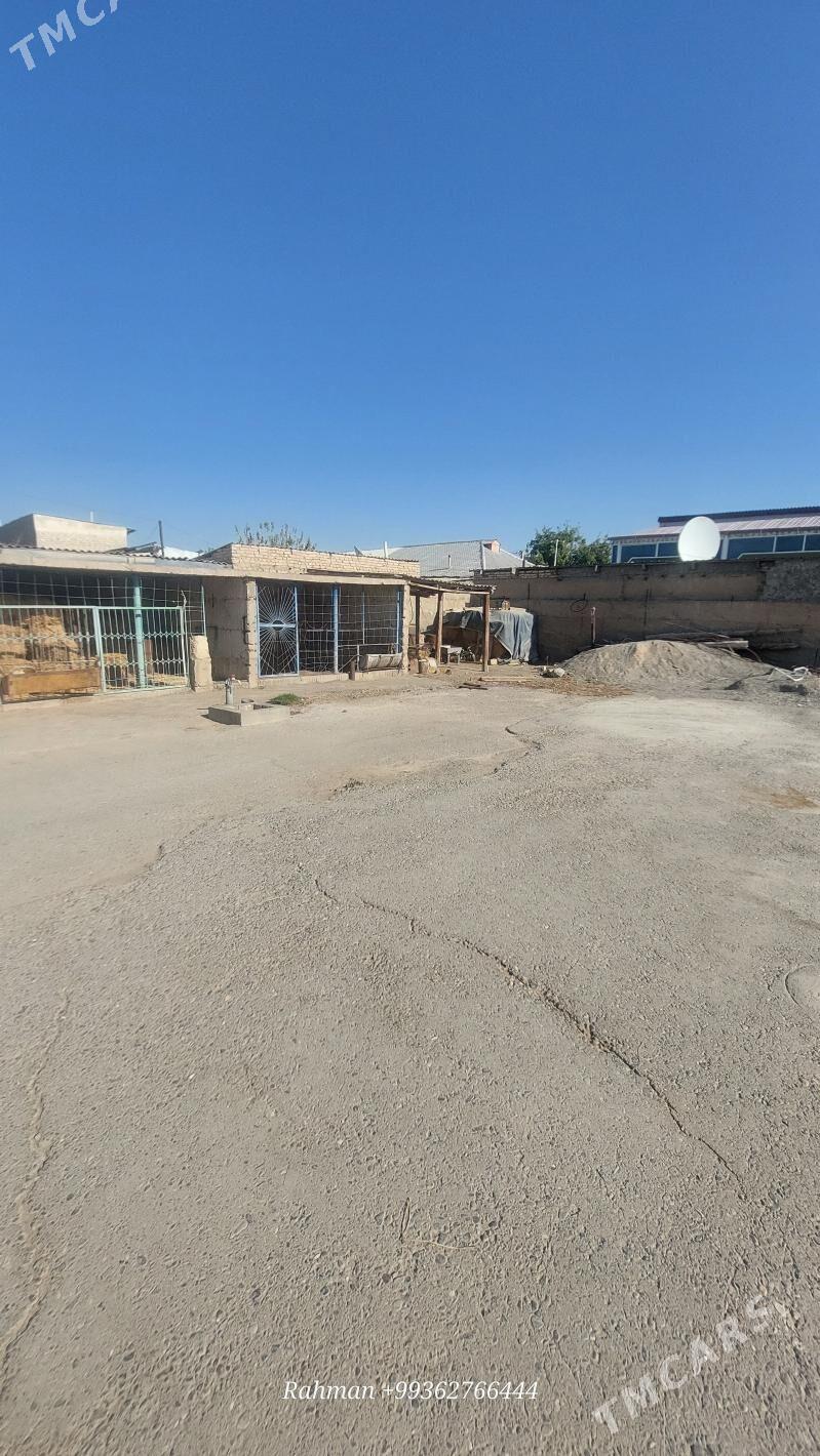 (2655)-ÇOGANLY 12-SOTOK A WE B ETMELI RAHMAN - Çoganly - img 3