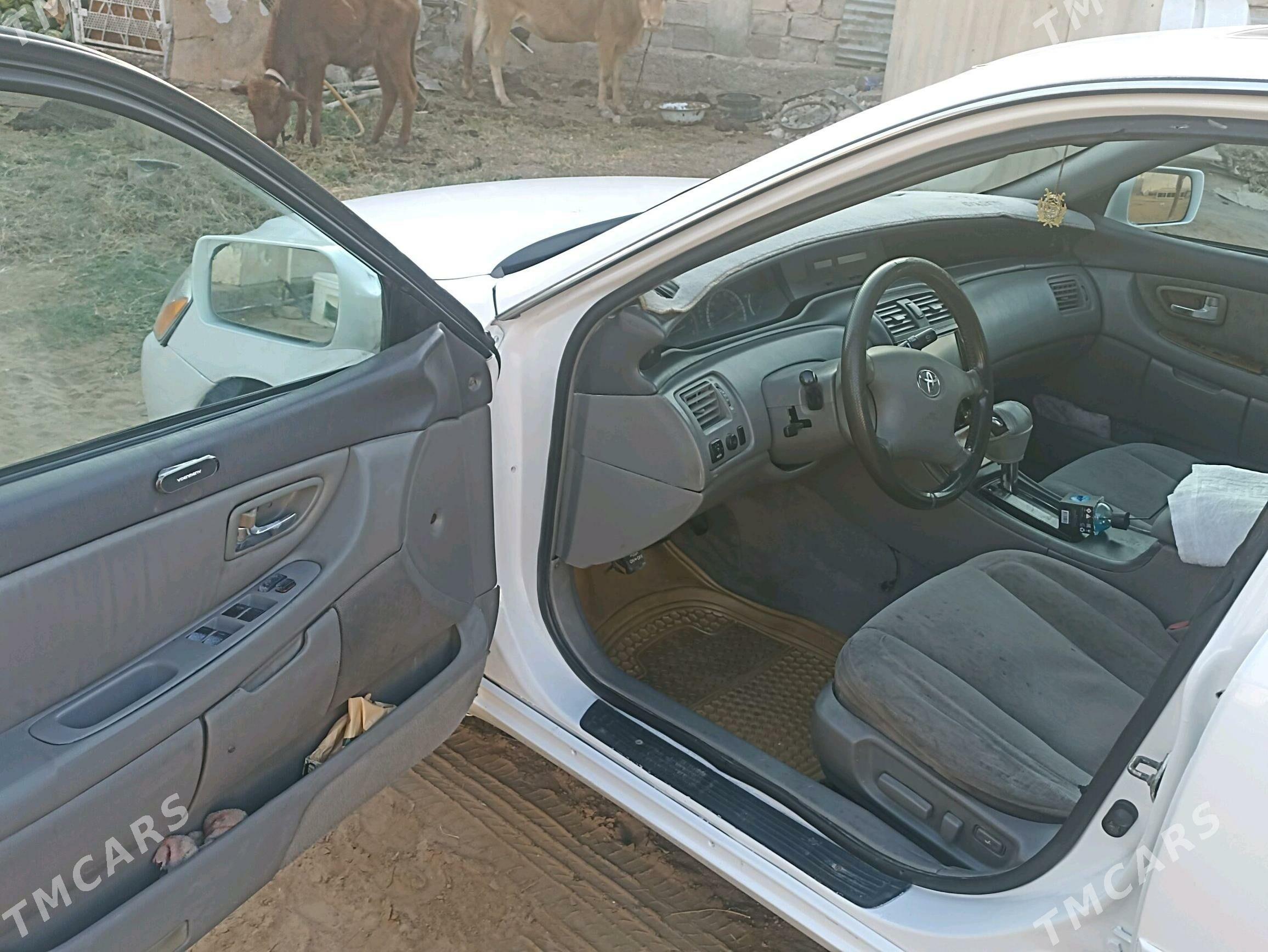 Toyota Avalon 2002 - 155 000 TMT - Aşgabat - img 8