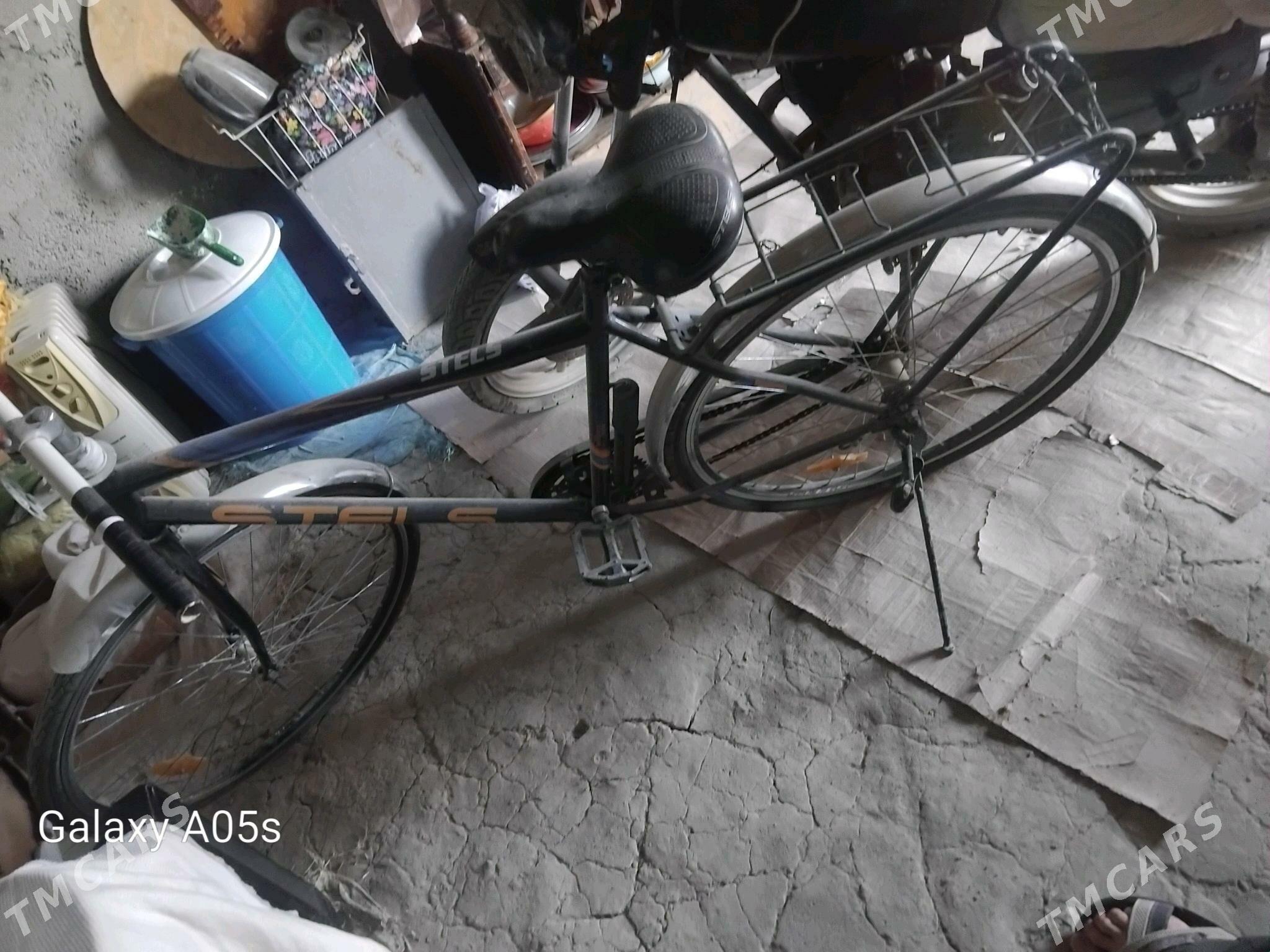 tygyr - Бахарден - img 3