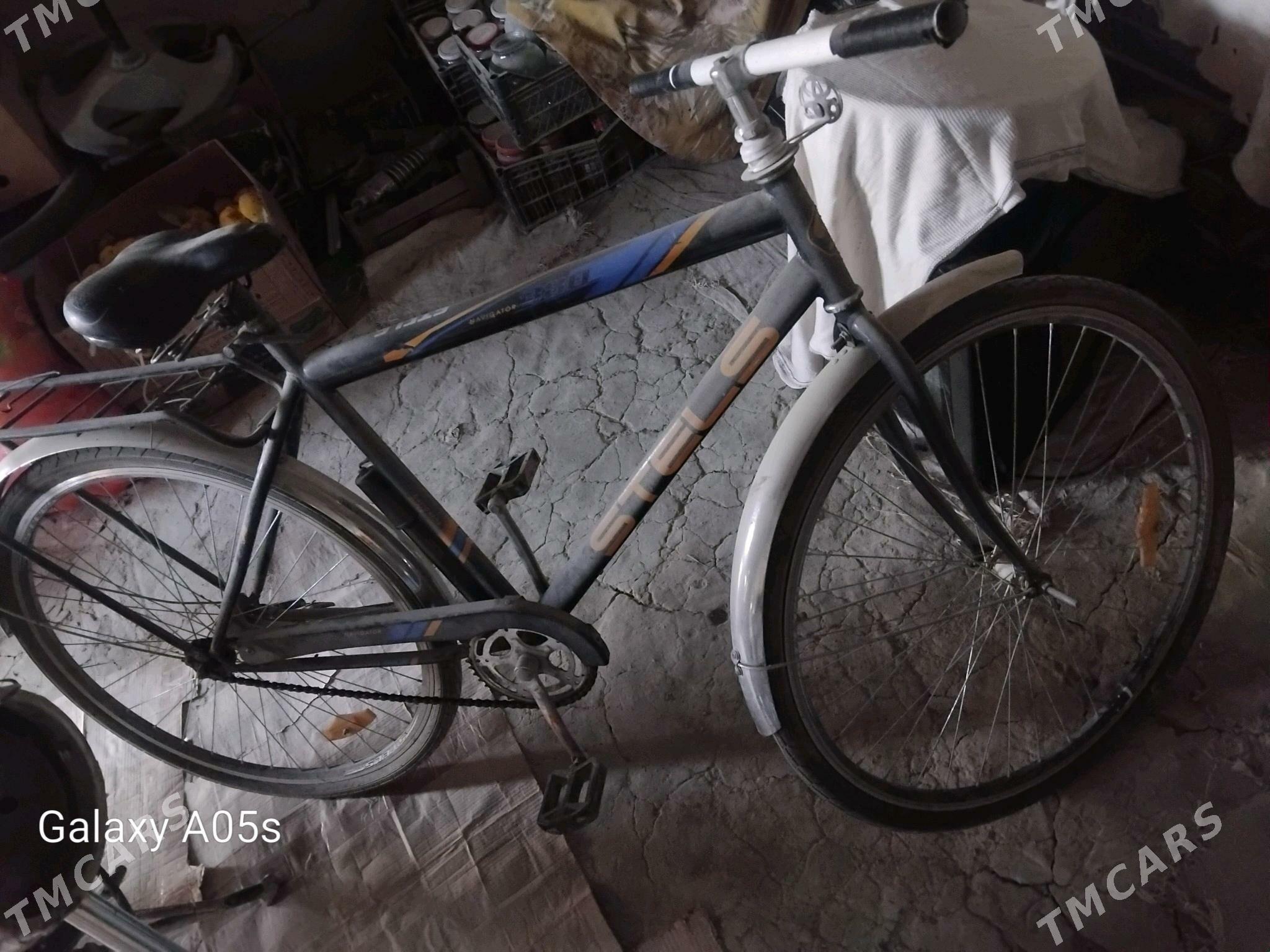 tygyr - Бахарден - img 2