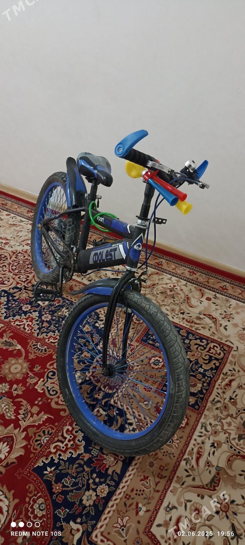 Tigr - Parahat 7 - img 1