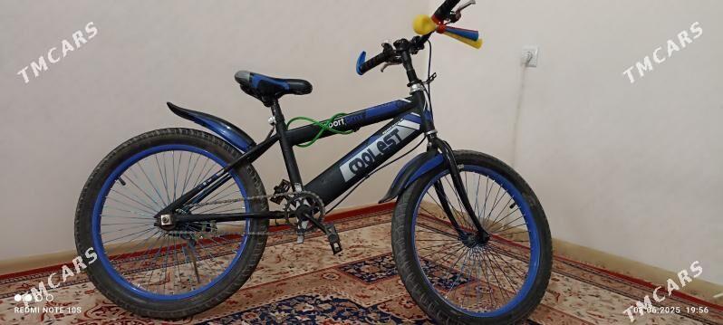 Tigr - Parahat 7 - img 2