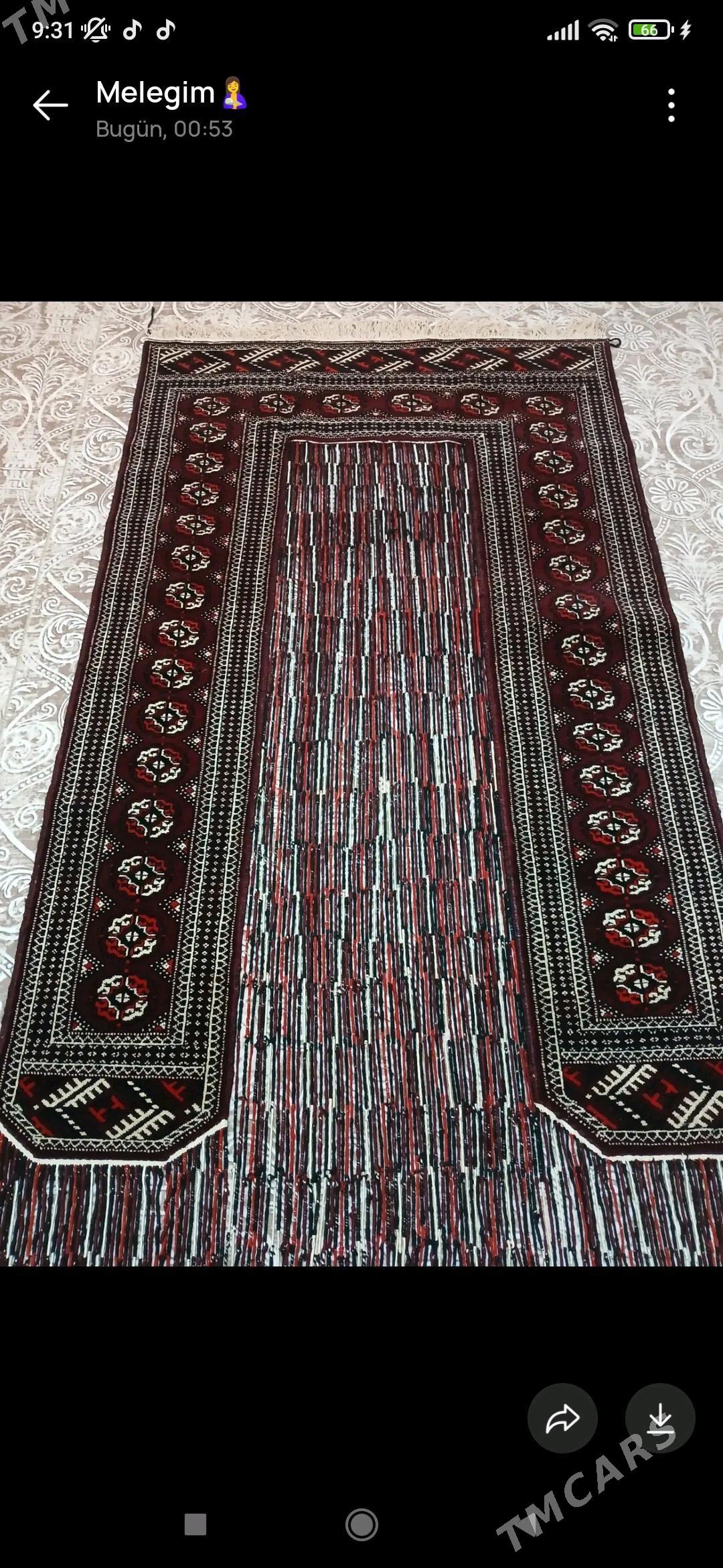 Gapylyk haly - Esenguly - img 3