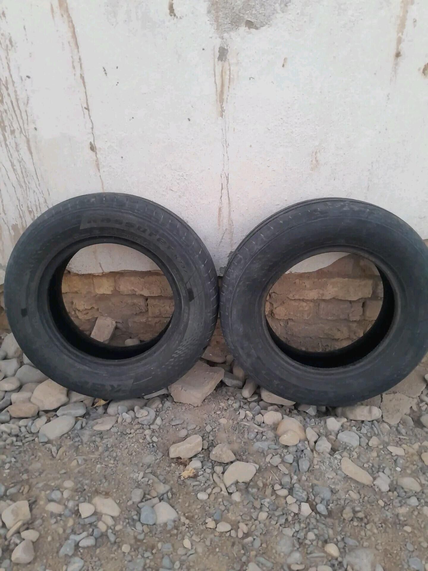 13 lik tigir 100 TMT - Tejen - img 2