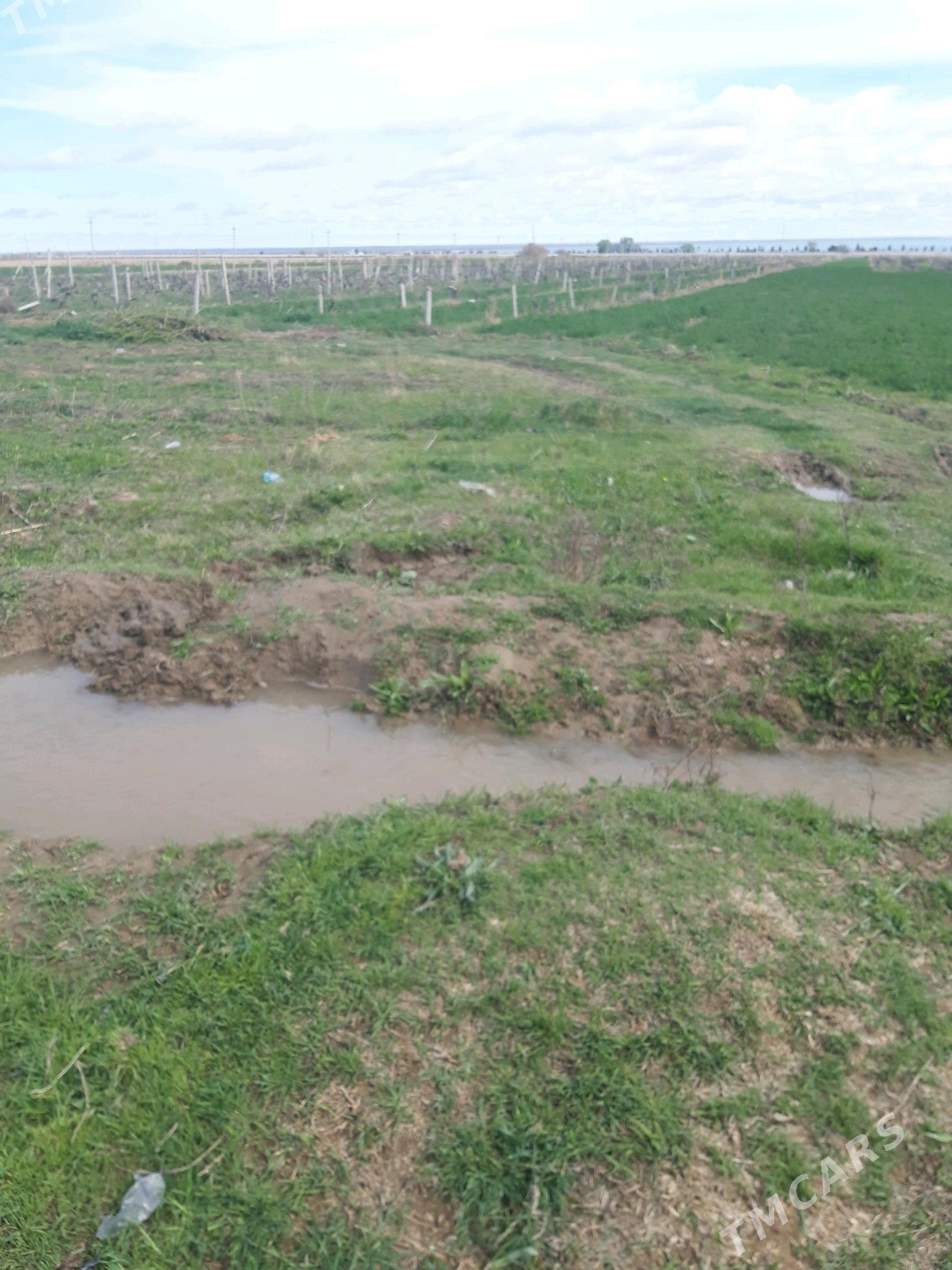 yorunja yer - Гёкдепе - img 4