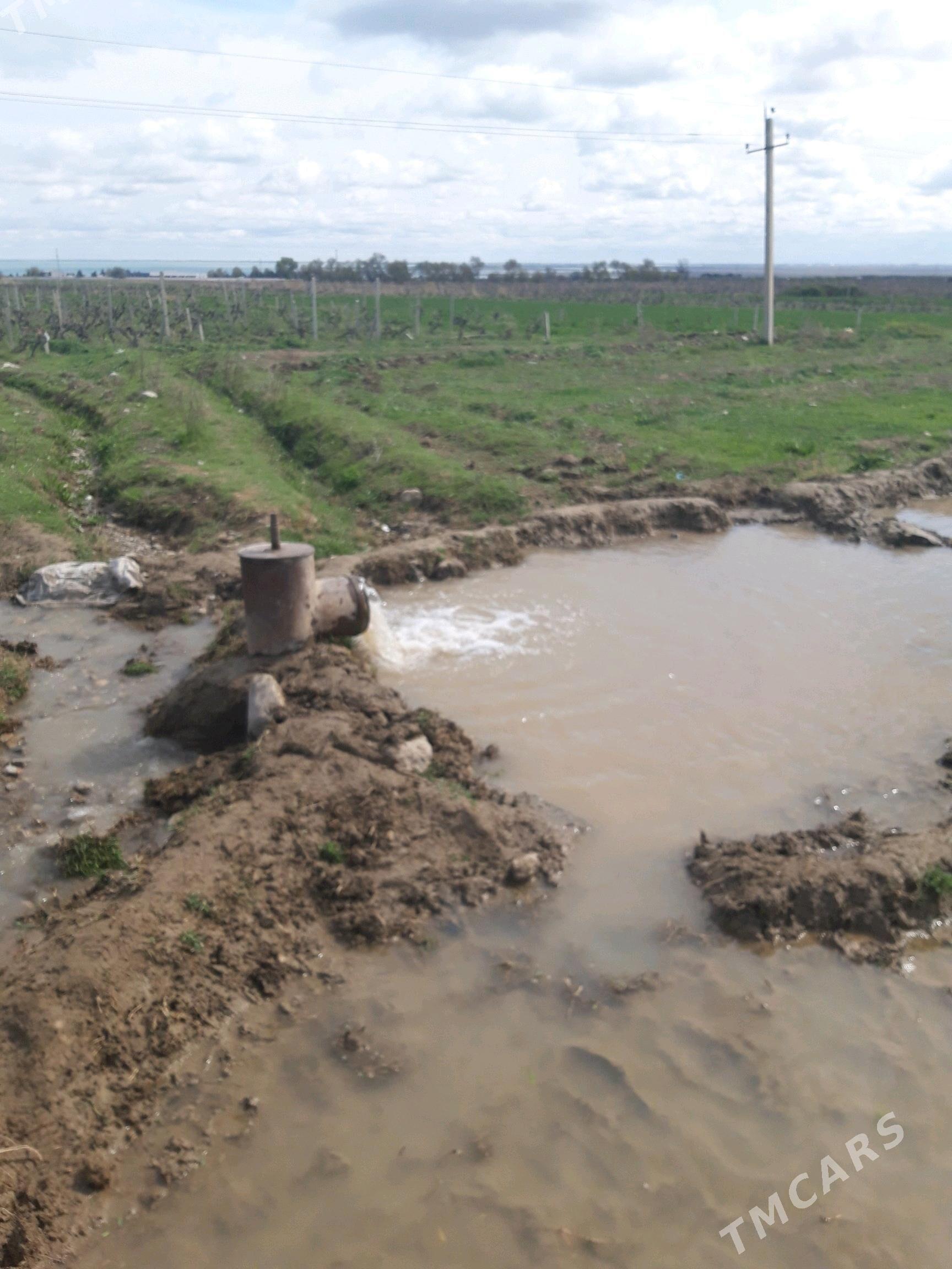yorunja yer - Гёкдепе - img 5