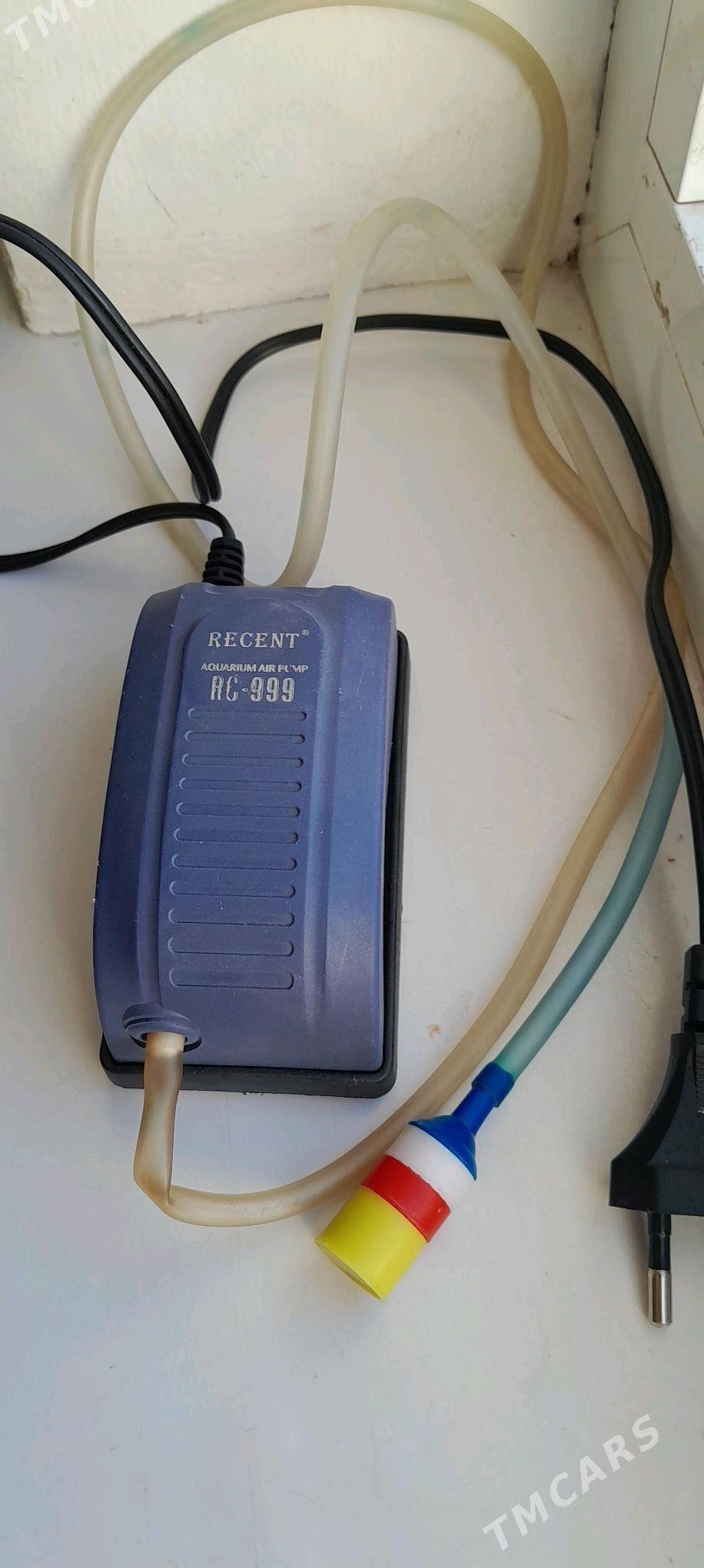 Аквариум круглый - Aşgabat - img 2