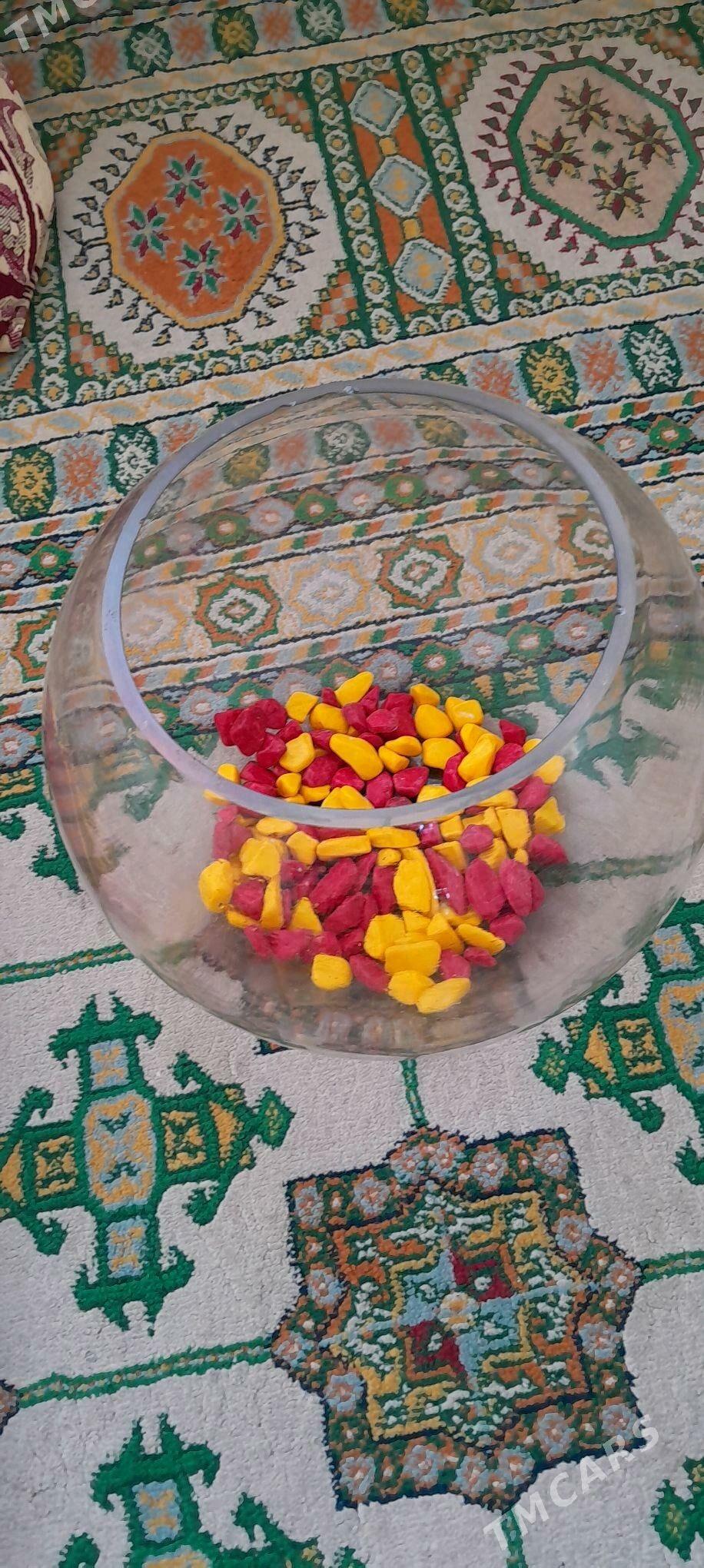 Аквариум круглый - Aşgabat - img 4