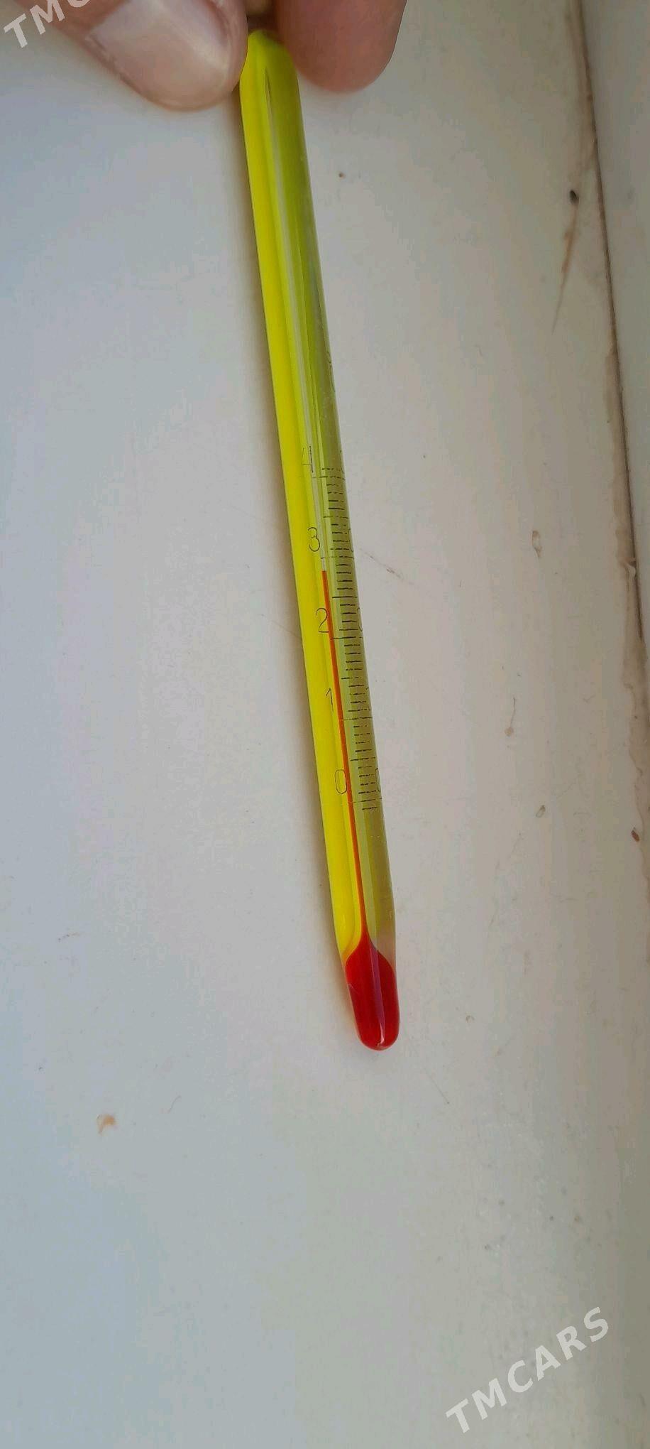 Аквариум круглый - Aşgabat - img 5