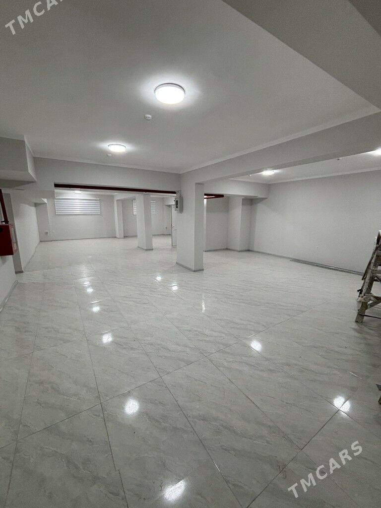 satlyk jay - Gurtly - img 5