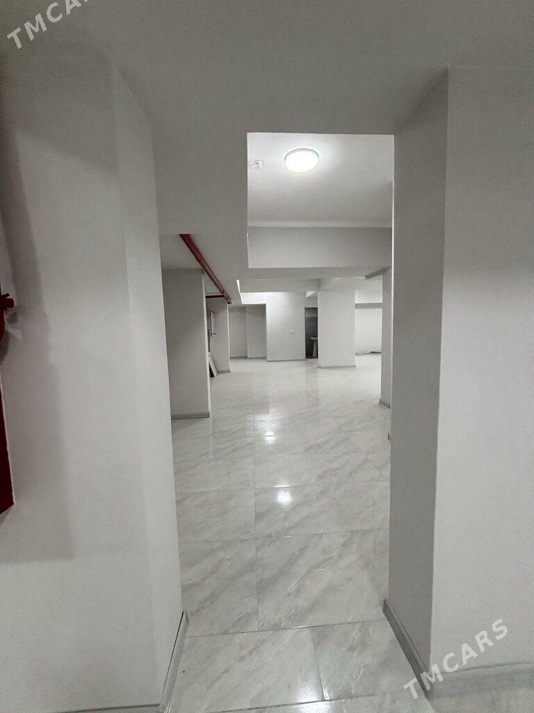 satlyk jay - Gurtly - img 3