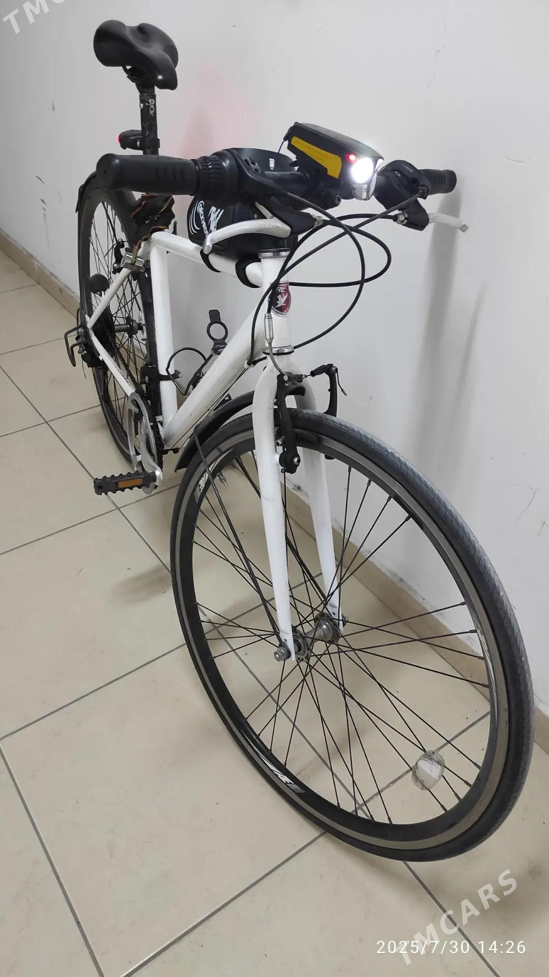 Tigir Original Spartiwnyy - Ашхабад - img 6