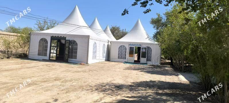 Gummez paltga - Türkmenbaşy etr. - img 1