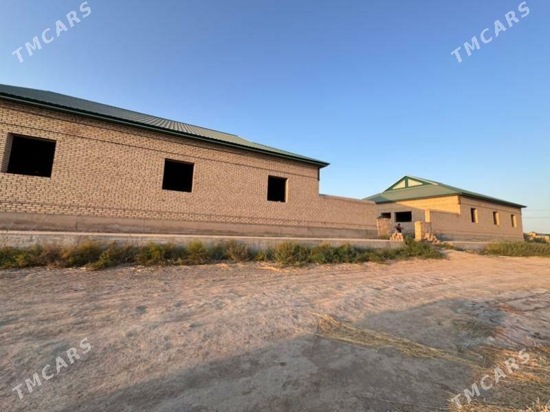 jay - Köneürgenç - img 1