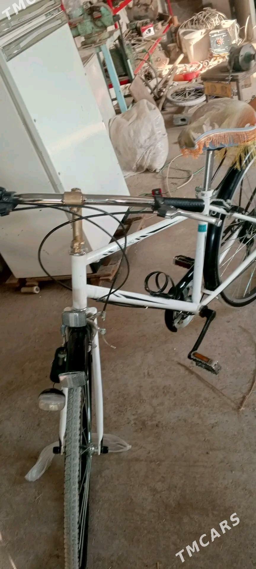 sport tigir - Änew - img 3