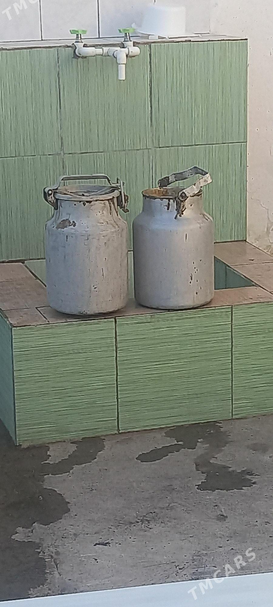 jyňka - Бедев - img 2