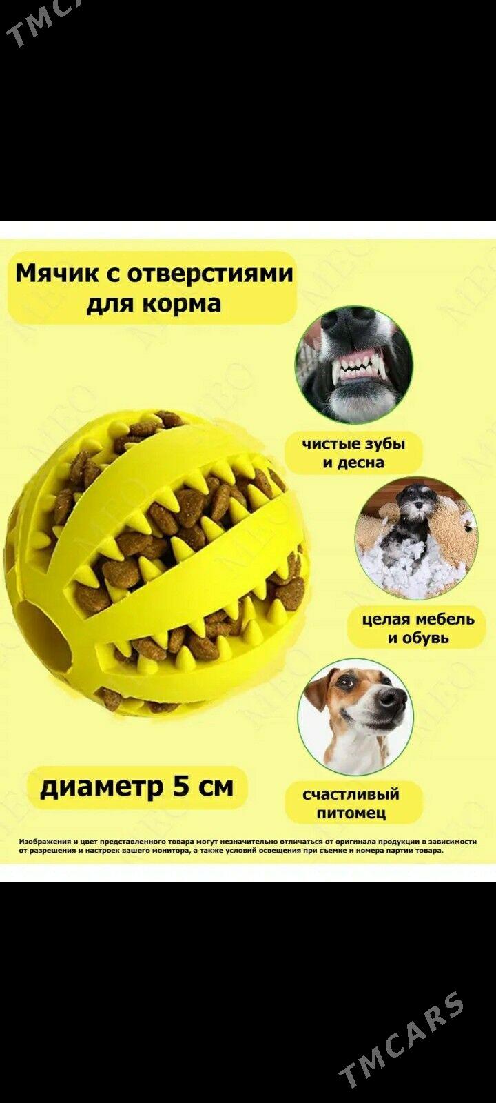 мяч для собак - Ашхабад - img 1