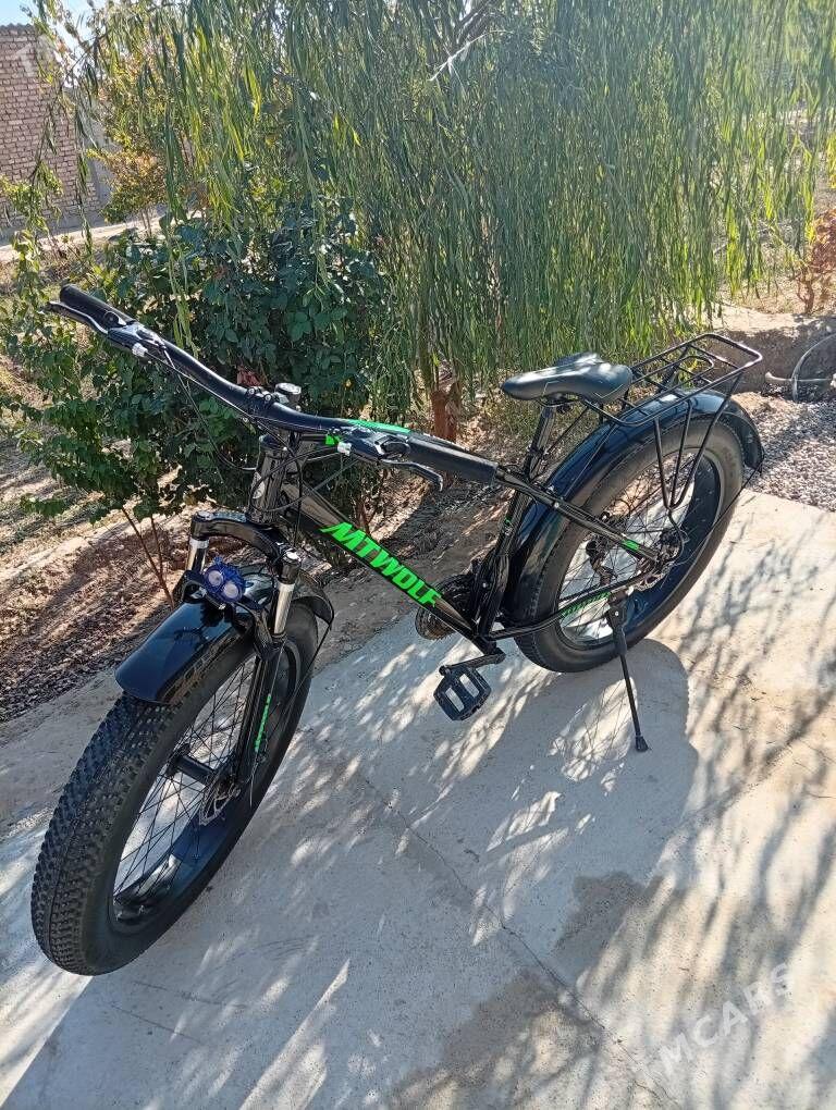 tigir - Кака - img 2