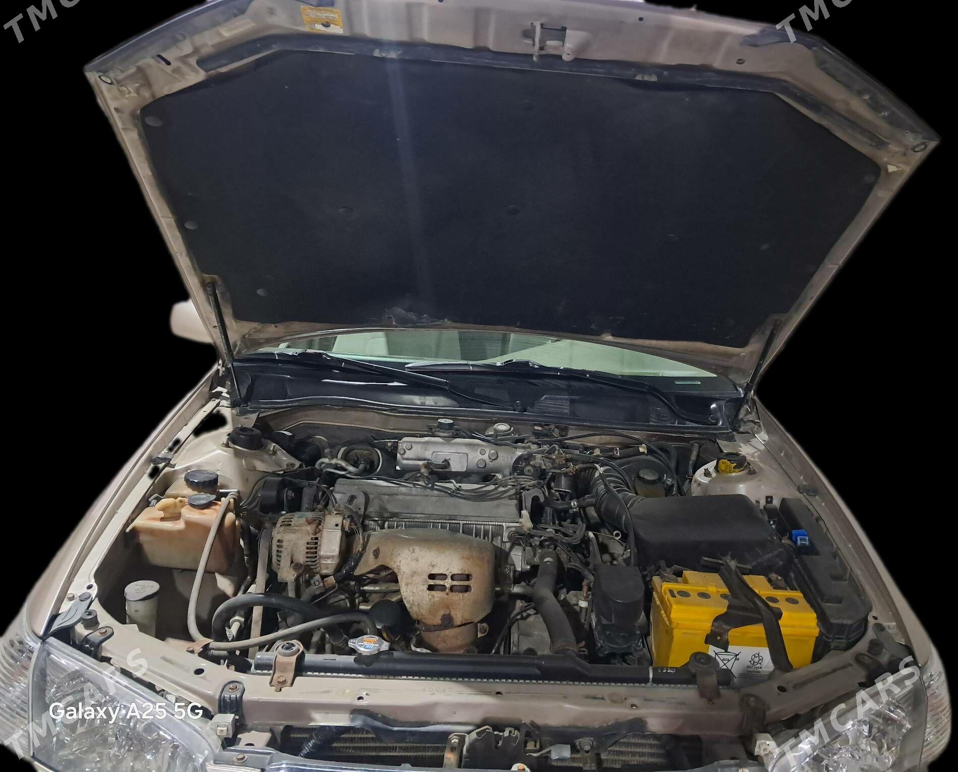 Toyota Camry 2000 - 165 000 TMT - Mary - img 6