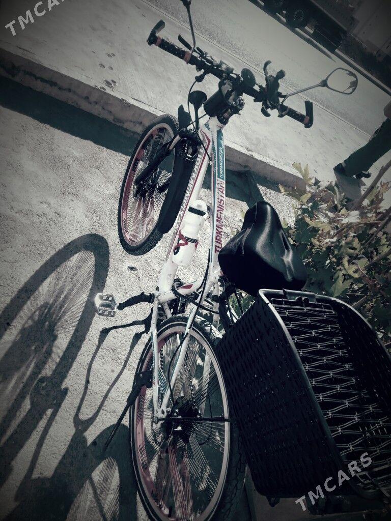 tigir - Gurtly - img 1