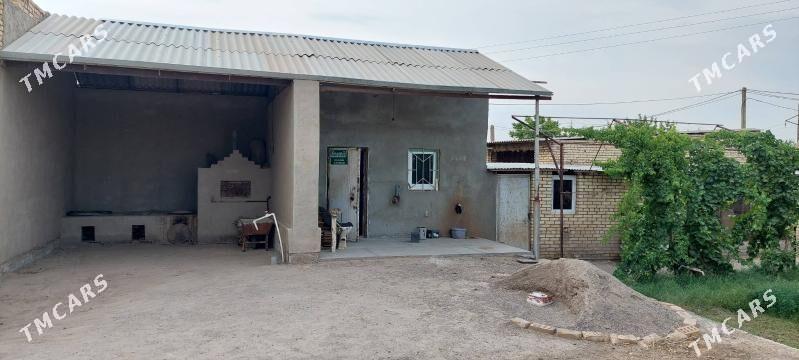 satlyk jay - Mary - img 2