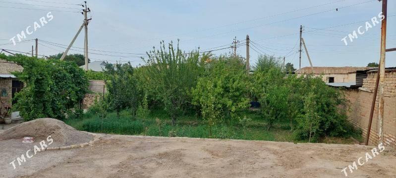 satlyk jay - Mary - img 4