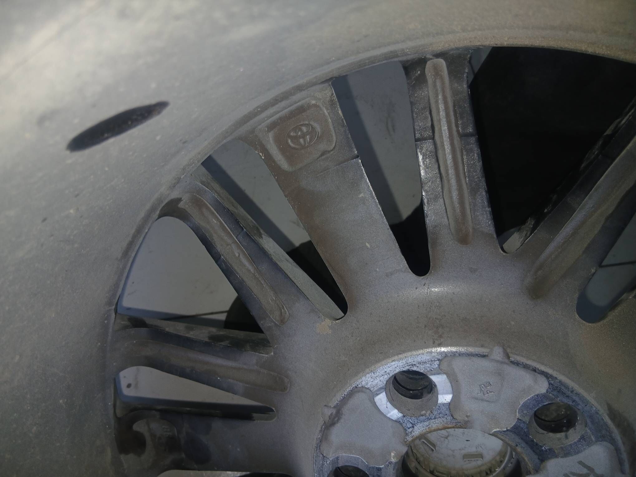 18 disga 3 100 TMT - Mary - img 2