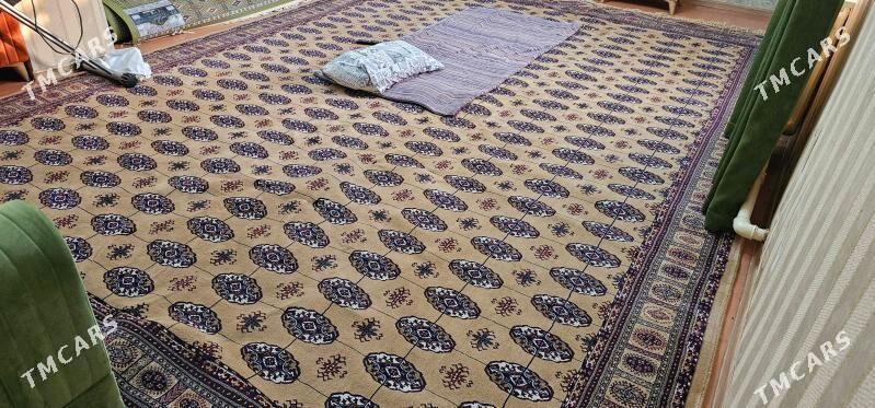 Haly Turkiya Halal 3.5"5.0 - Aşgabat - img 3