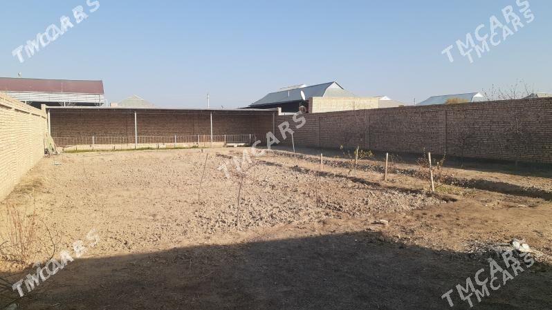 jaý. - Ýolöten - img 5