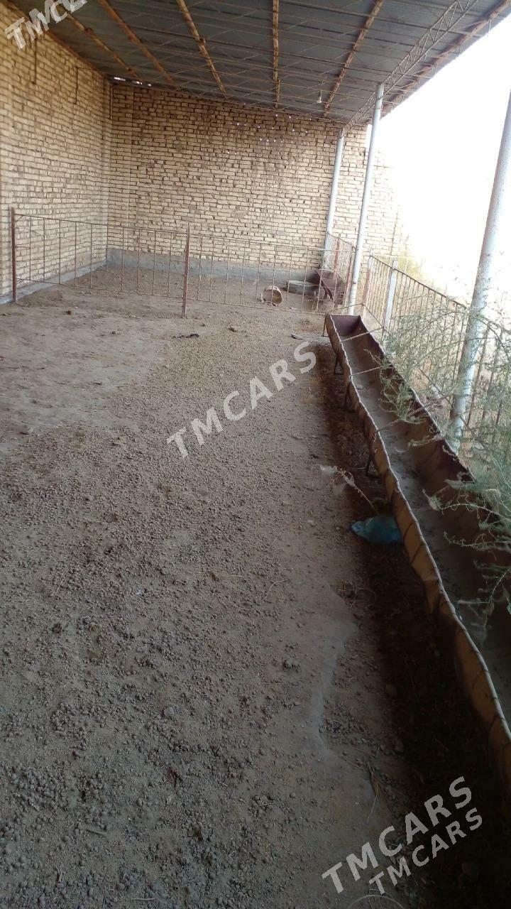 jaý. - Ýolöten - img 7