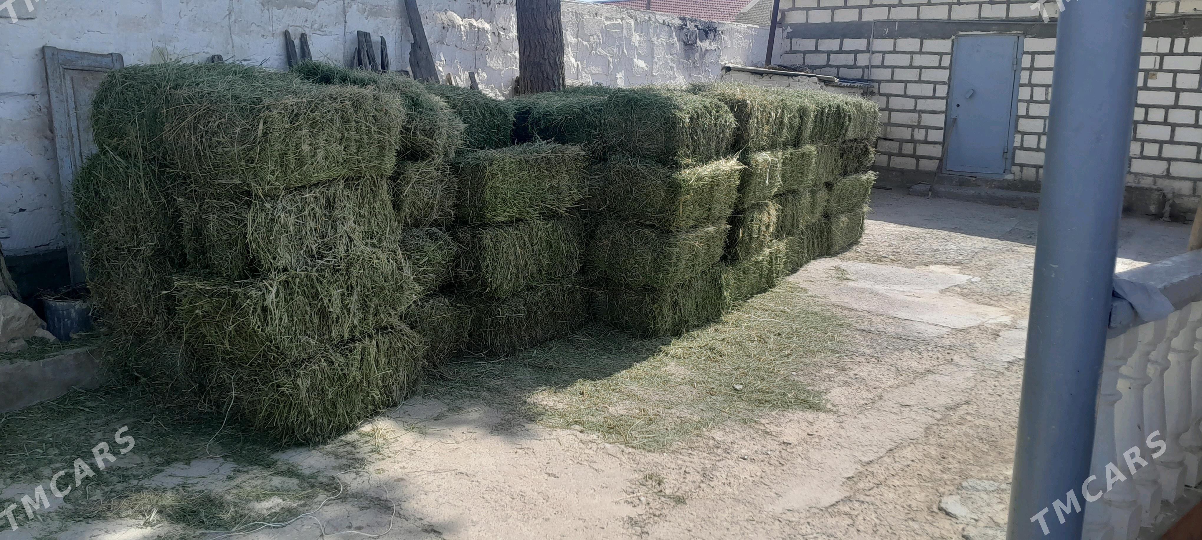 Yandak bede - Гызыларбат - img 2