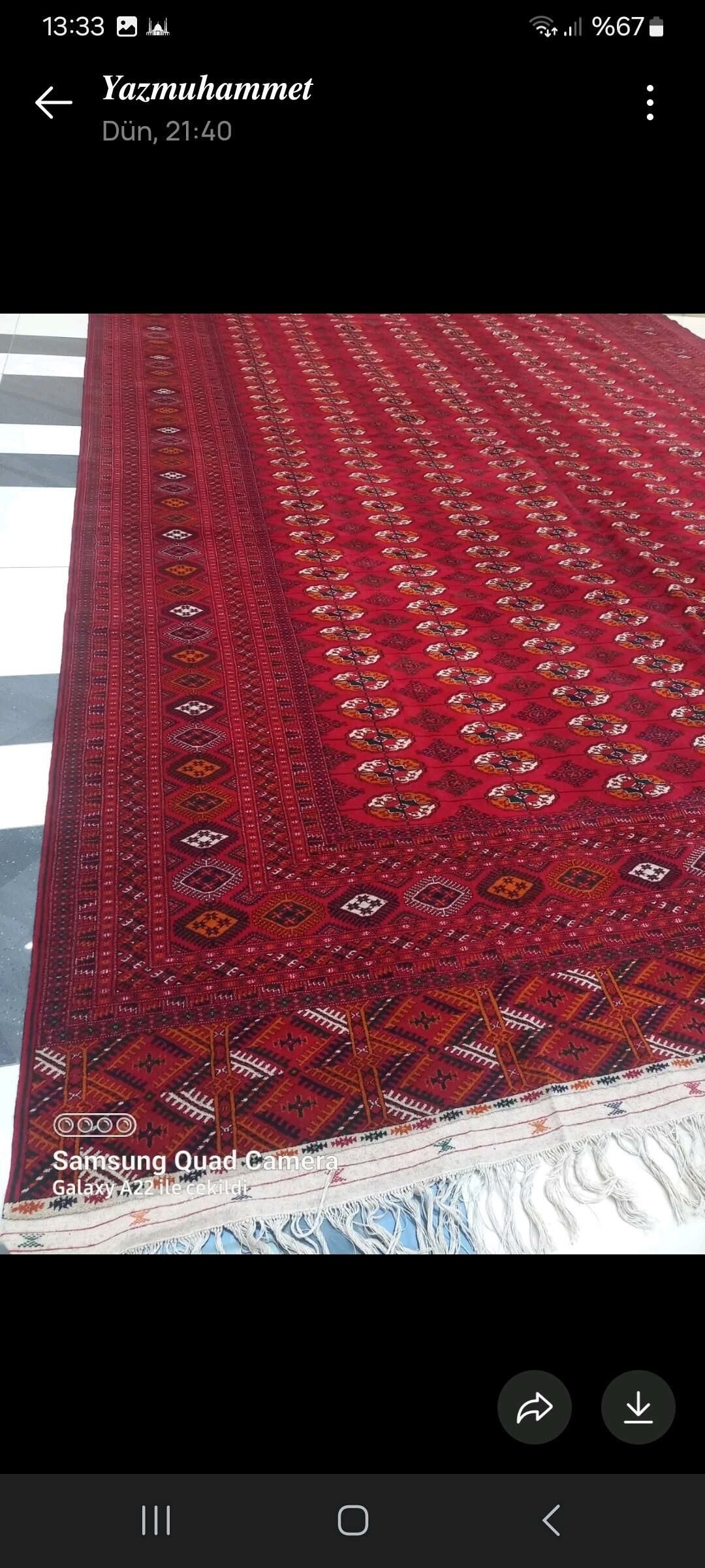 el haly 4.50×7.50 - Бахарден - img 2