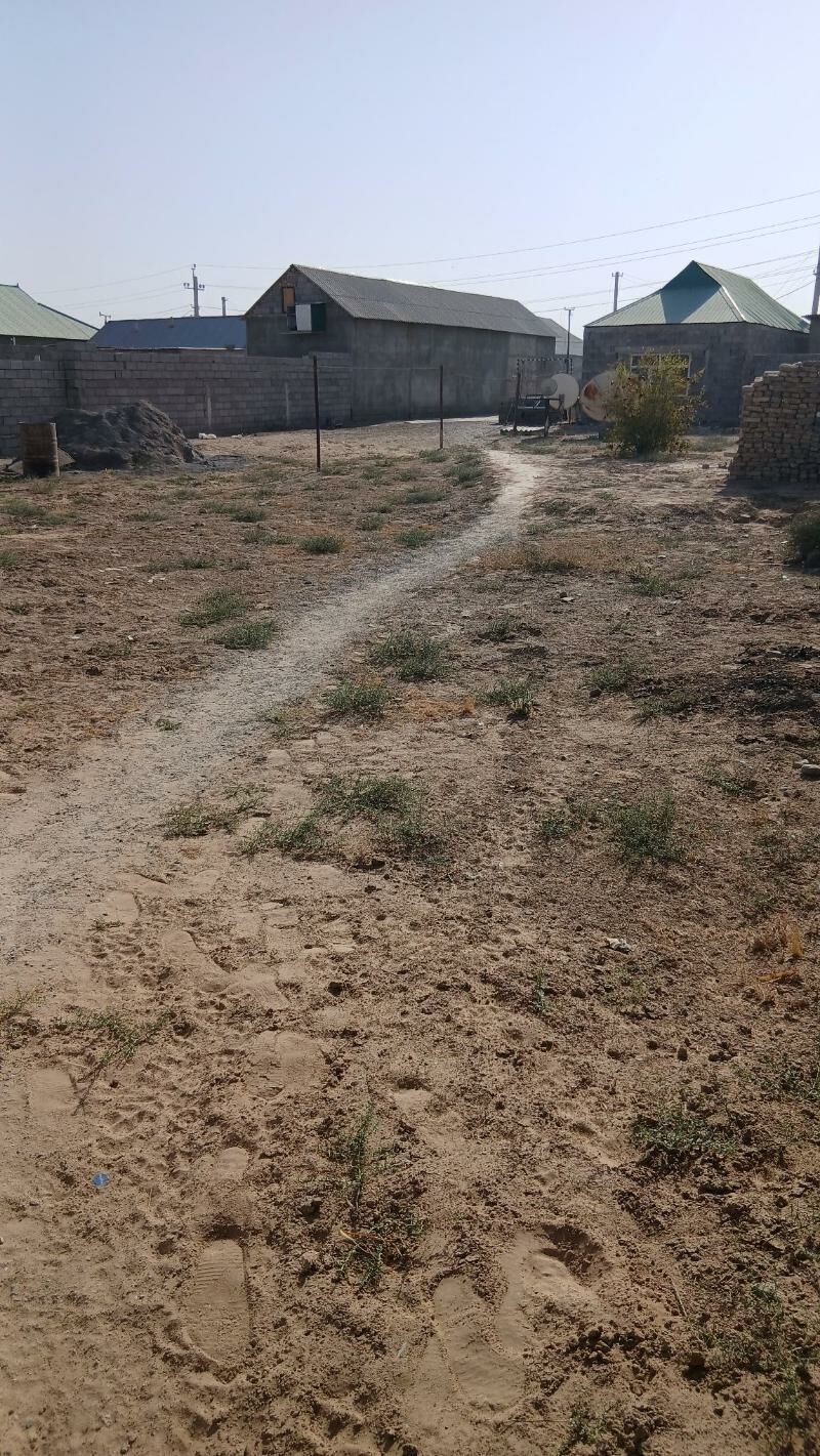 satlyk jay talhanly oba - Büzmeýin - img 7