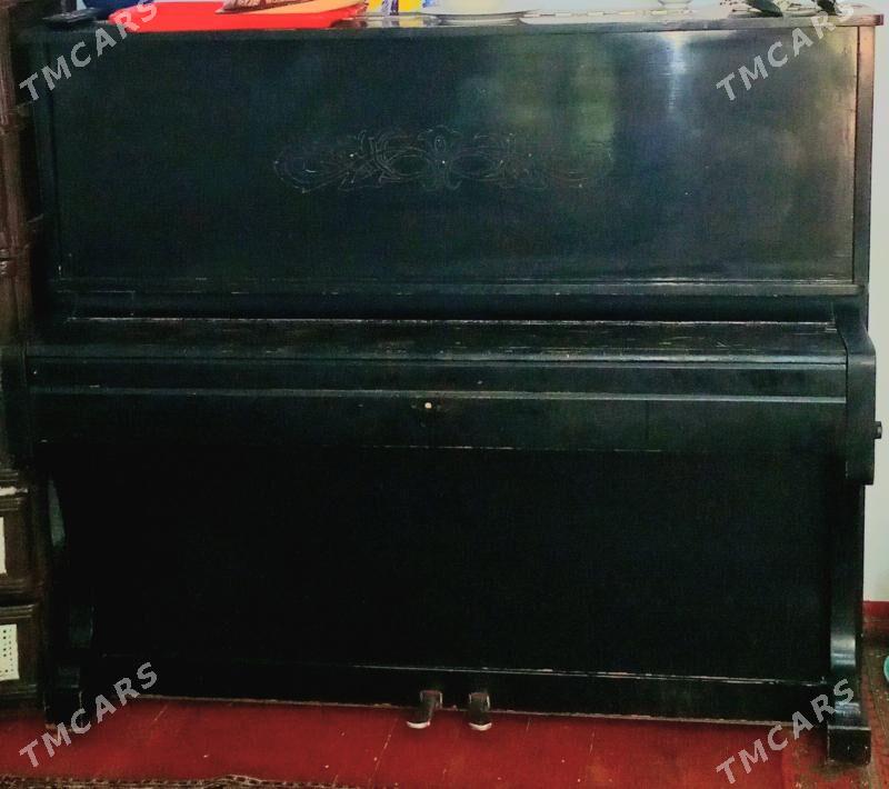 piaino - Aşgabat - img 2