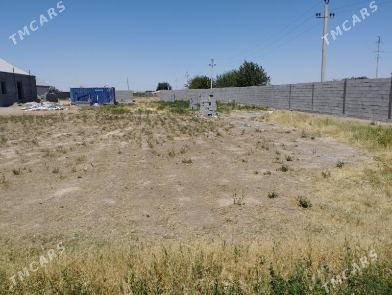 Yasman salk jay 12 sotak - Бузмеин - img 2