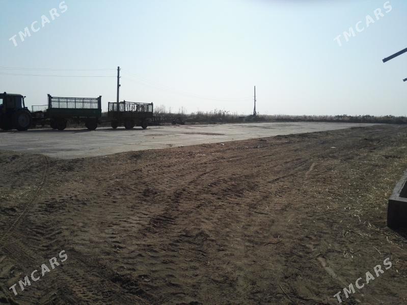 Maldarcylyk Mulk yer Fazenda - Мары - img 7