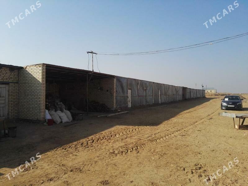 Maldarcylyk Mulk yer Fazenda - Мары - img 10