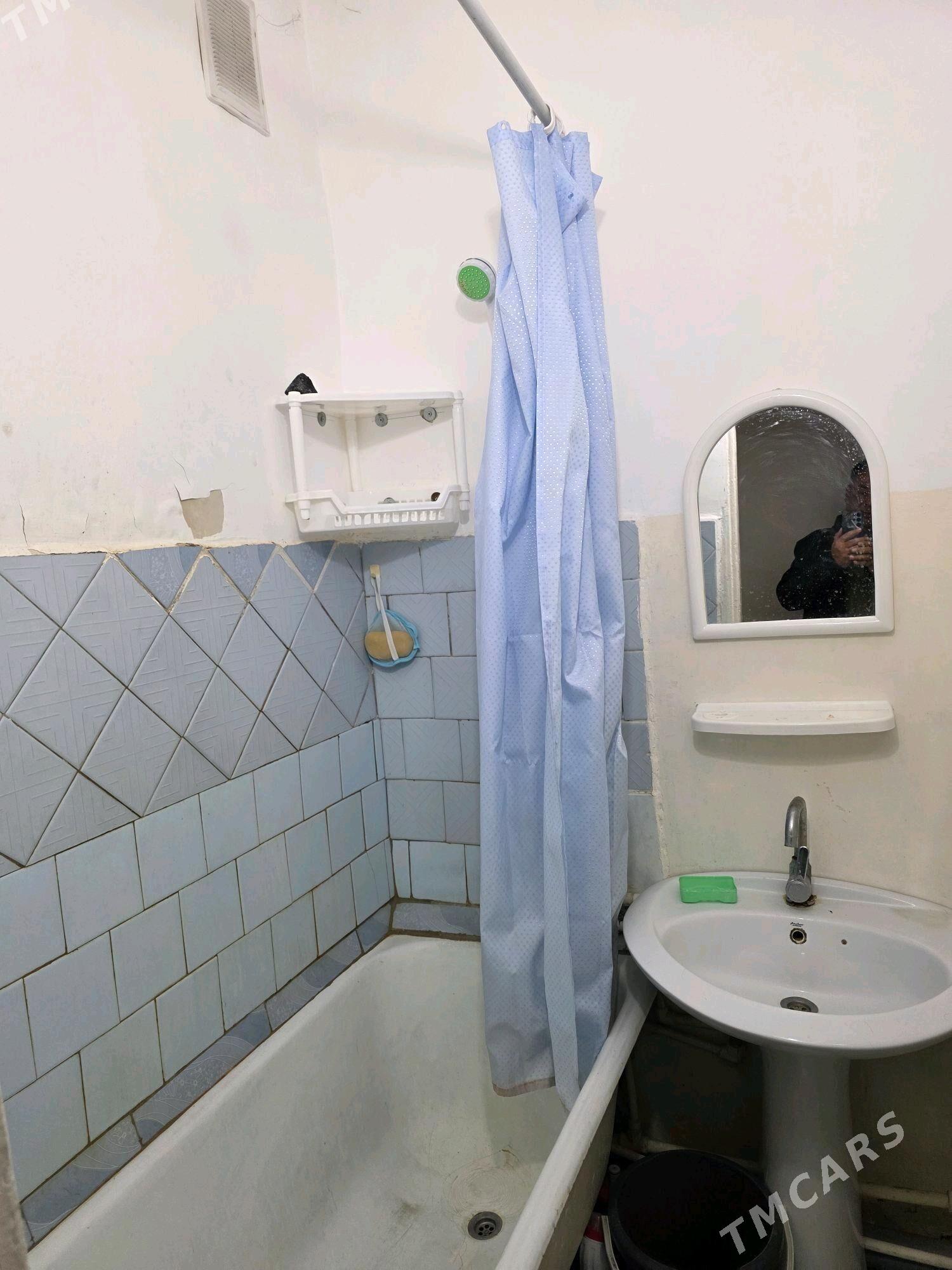 Büzmeýin tomatnyý - Бузмеин - img 6