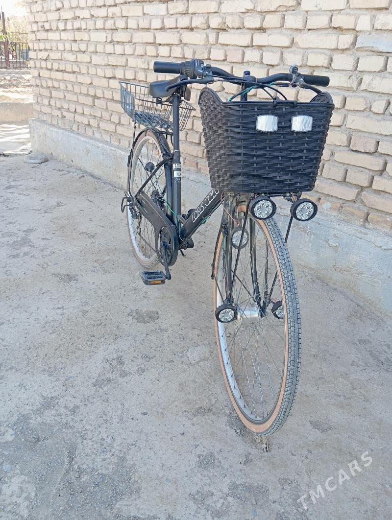 tigir - Kaka - img 3