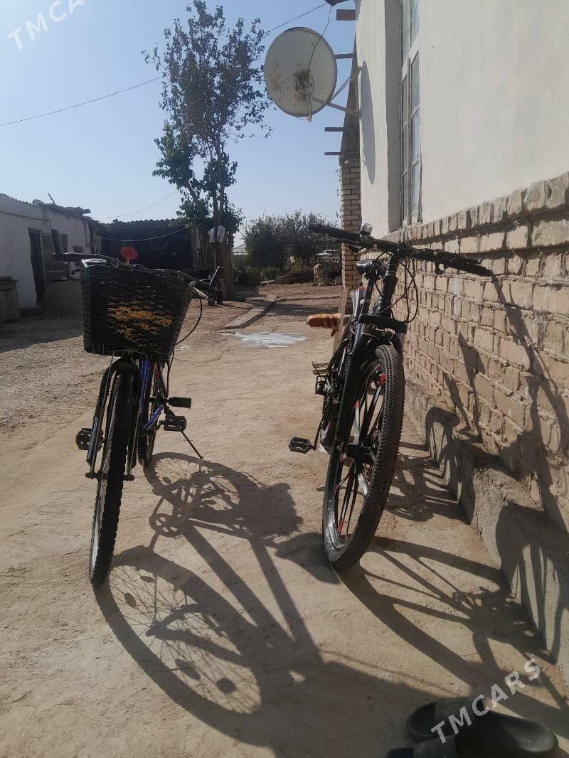 welik - Mary - img 3