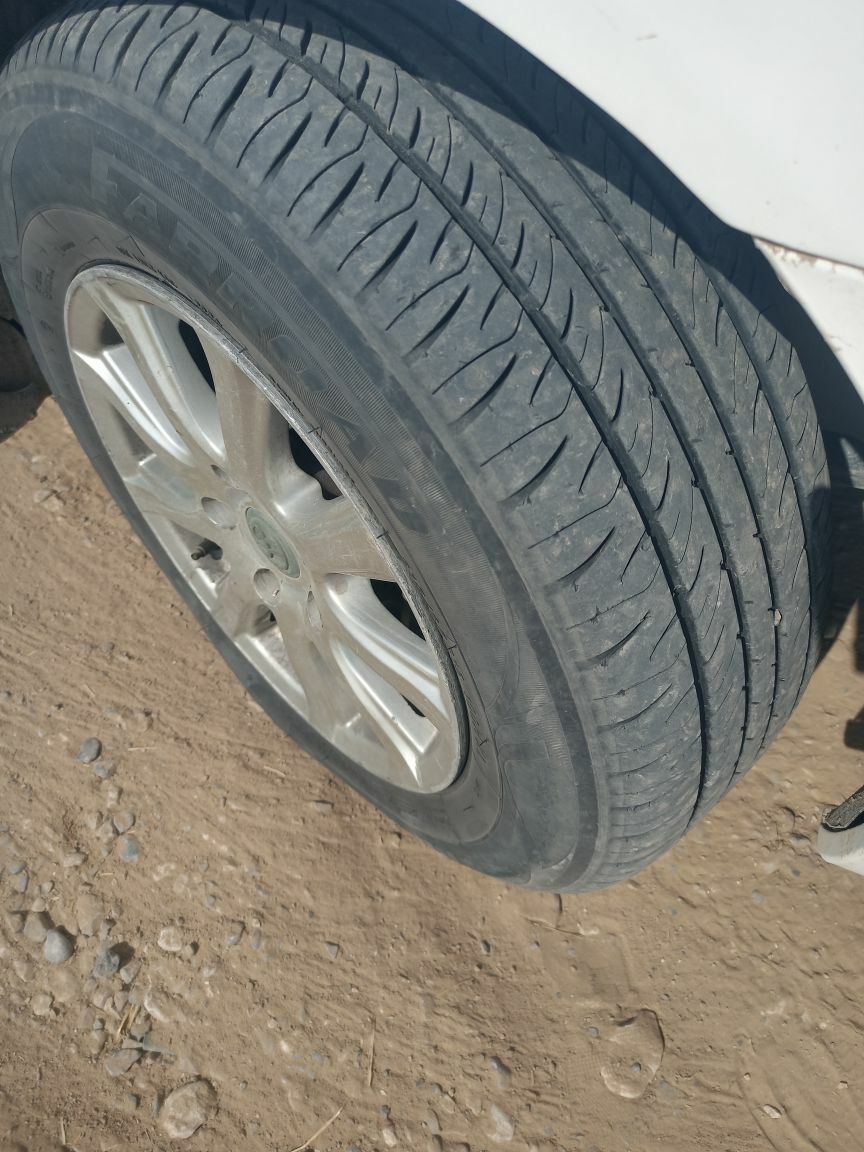 Disga 15lik 2 000 TMT - Etrek - img 2