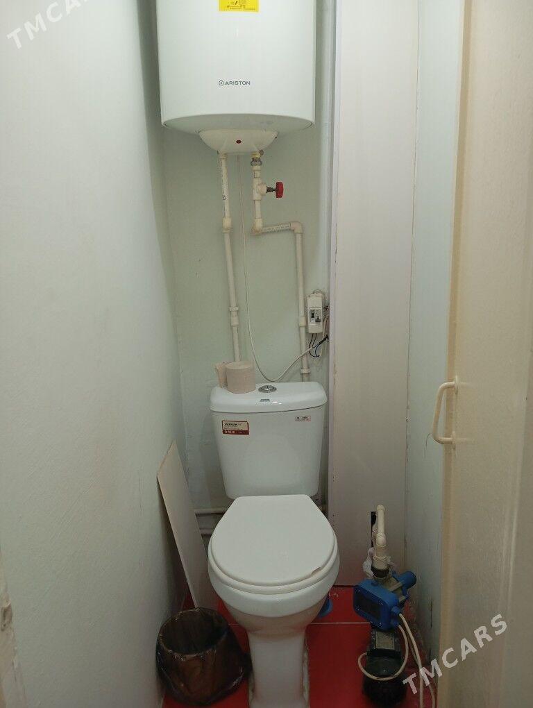 Satlyk jay  - Мары - img 9